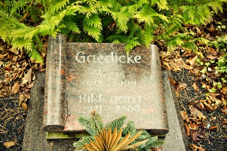 friedhof