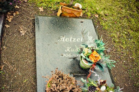 friedhof