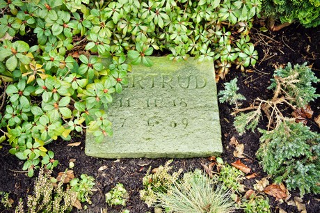 friedhof