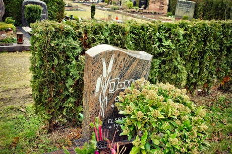 friedhof