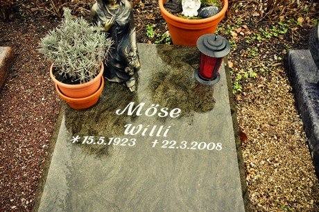 friedhof