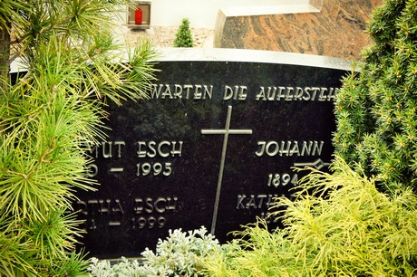friedhof