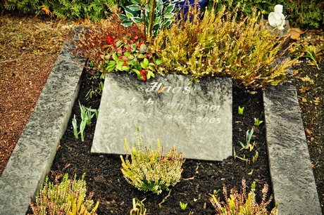 friedhof