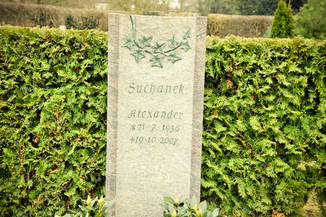 friedhof