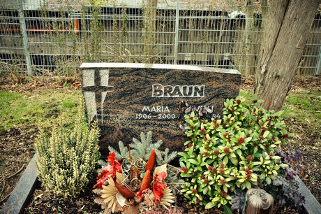 friedhof