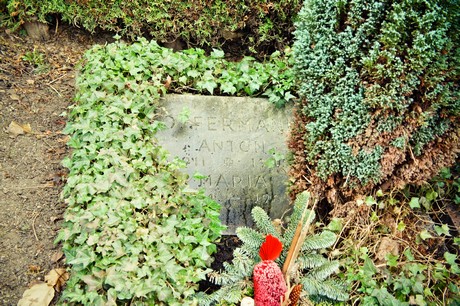 friedhof