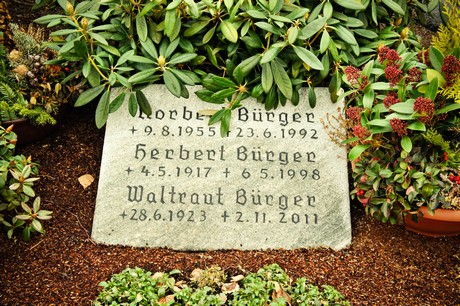 friedhof