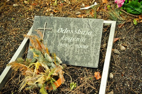 friedhof