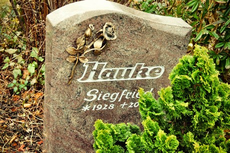 friedhof