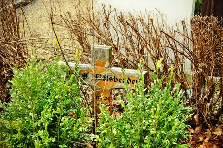 friedhof