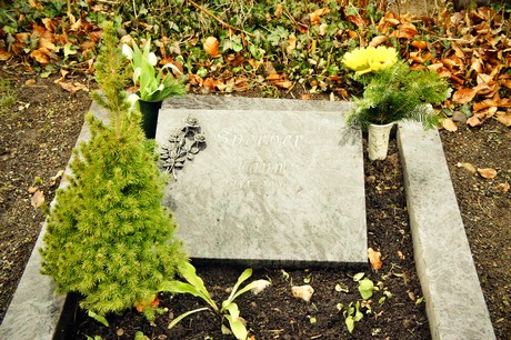 friedhof