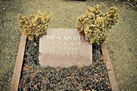 friedhof