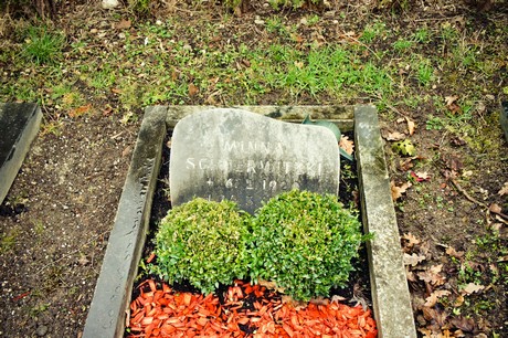 friedhof