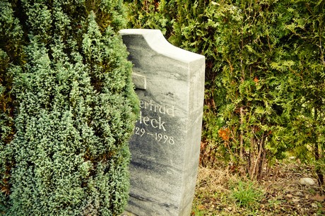 friedhof