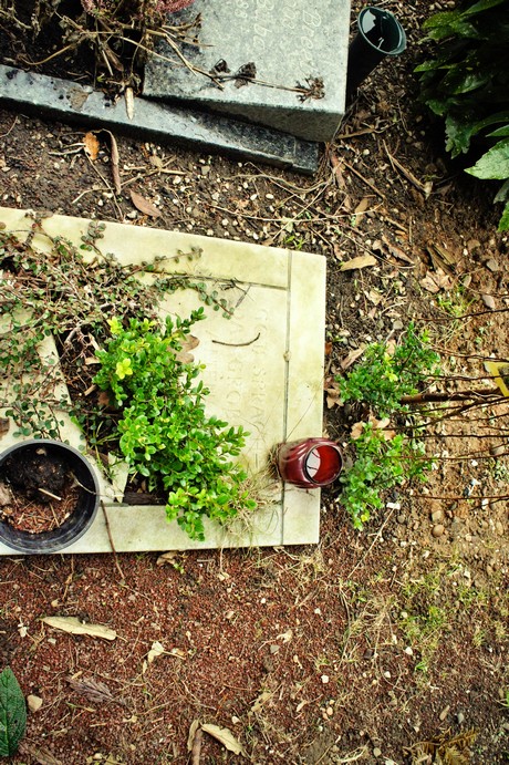 friedhof