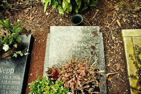 friedhof