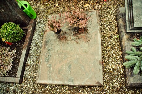 friedhof