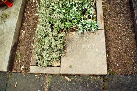 friedhof