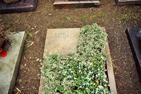 friedhof