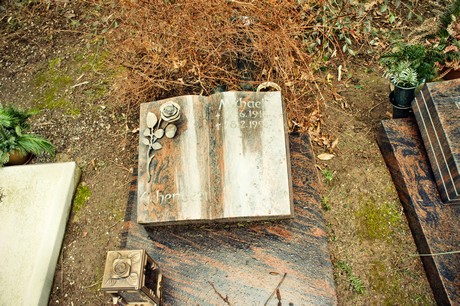 friedhof