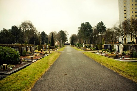 friedhof