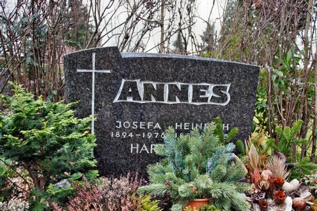 friedhof