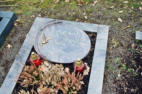 friedhof