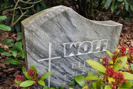 friedhof