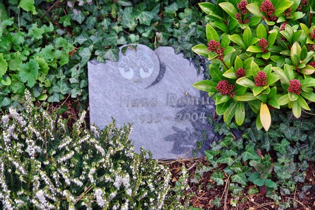 friedhof