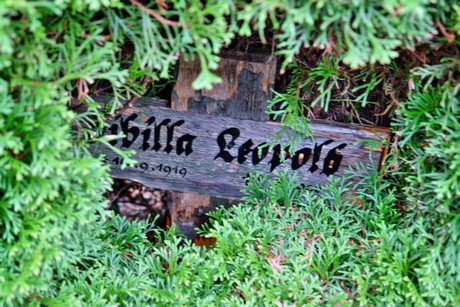friedhof