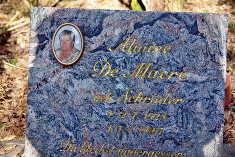 friedhof