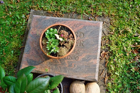 friedhof