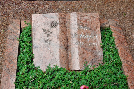 friedhof