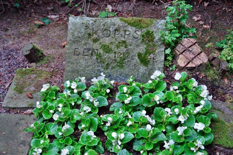friedhof