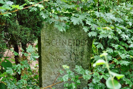 friedhof