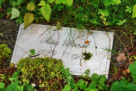 friedhof