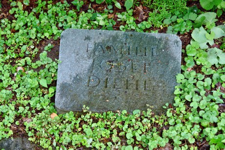 friedhof