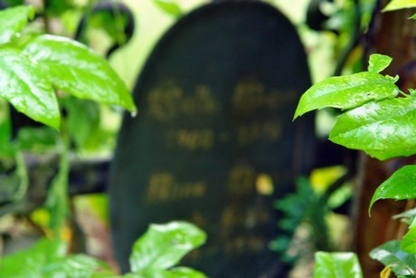 friedhof