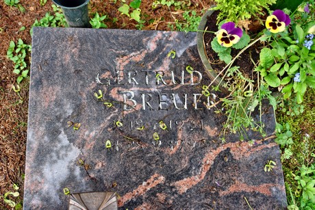 friedhof