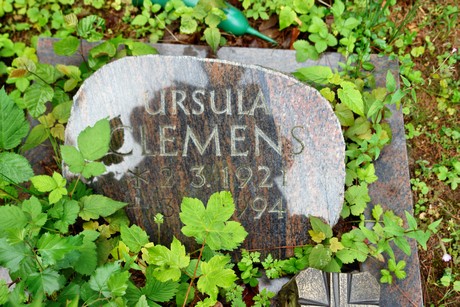 friedhof