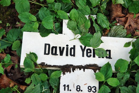 friedhof