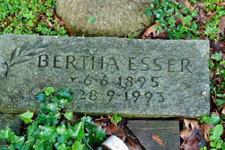 friedhof