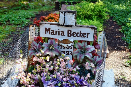 friedhof