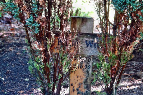 friedhof
