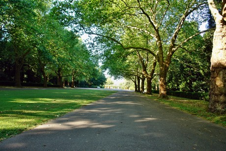 westfriedhof