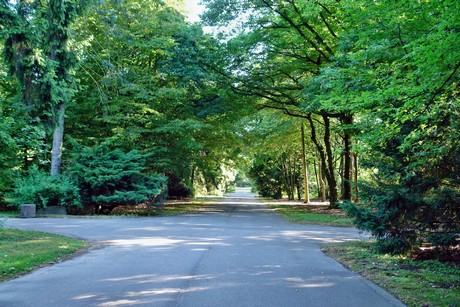 westfriedhof