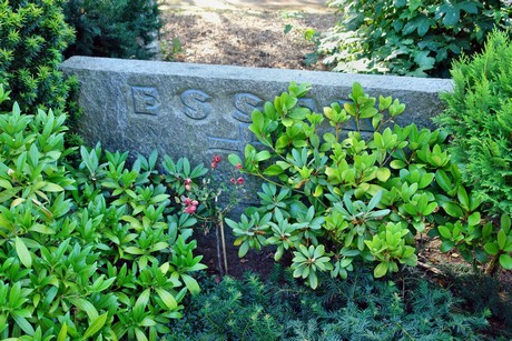 westfriedhof