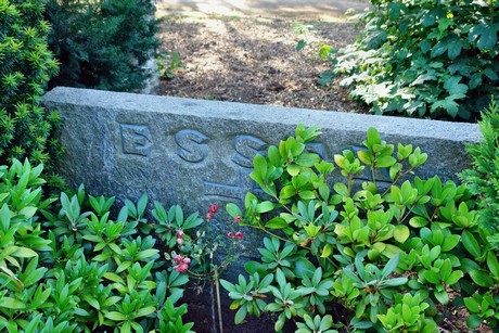 westfriedhof