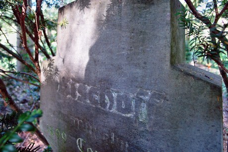 westfriedhof