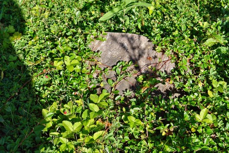 westfriedhof